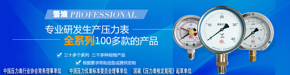 金百博专业研发生产压力表全系列100多款产品 金百博专业研发生产压力表全系列100多款产品